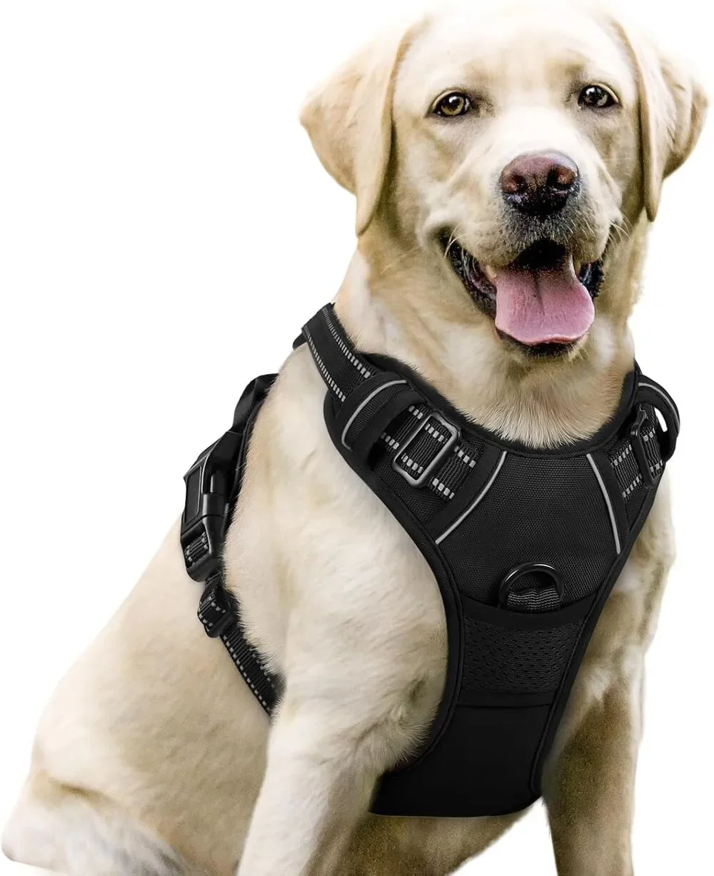 rabbitgoo Dog Harness, No Pull for Large Dogs